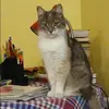 Отзыв от Прасковья Дроздова
